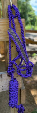 Designer Inspired Beaded Mule Tape Halter with Lead Rope