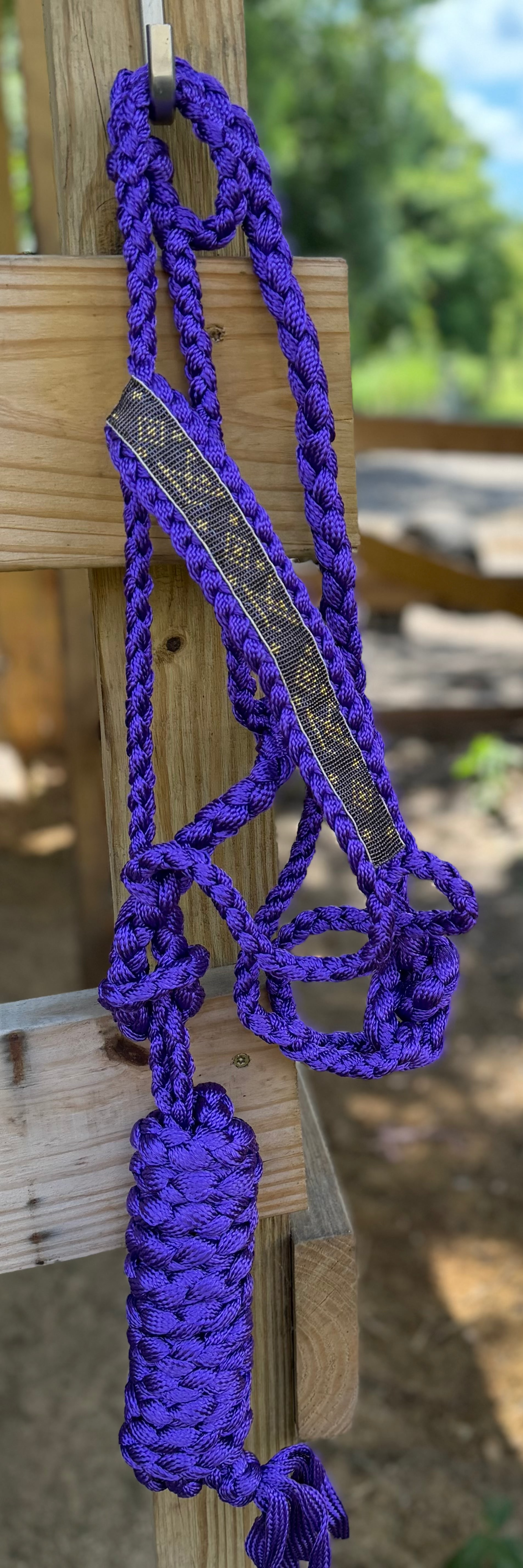 Designer Inspired Beaded Mule Tape Halter with Lead Rope