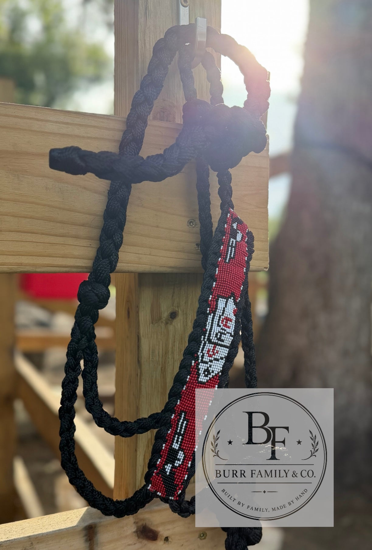 Vegas Themed Mule Tape Halter with Lead Rope